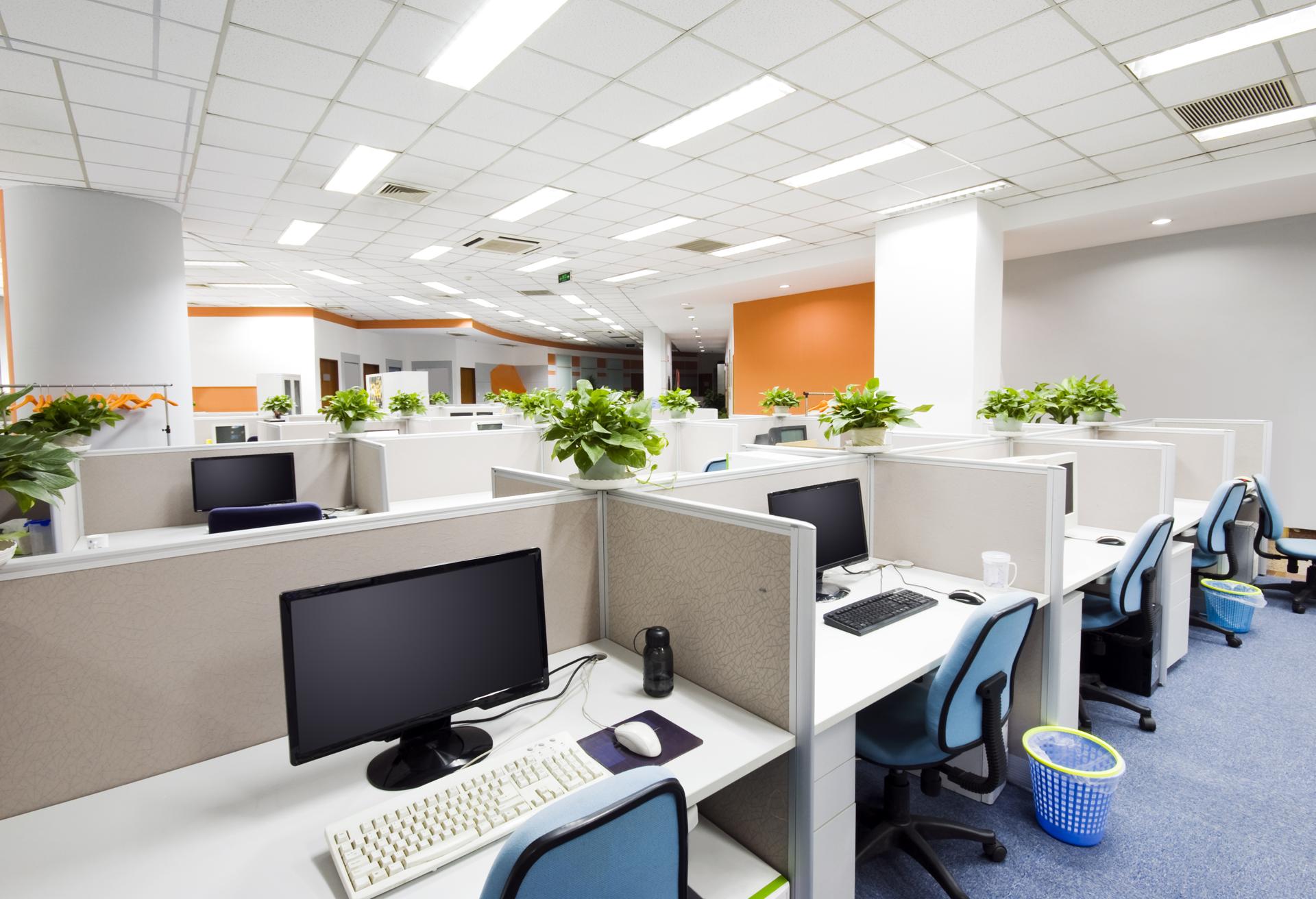 Affordable Office Cleaning In Belmont